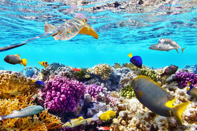 ESTATE 2023: MARE SHARM EL SHEIKH