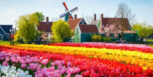OLANDA E BELGIO, ROMANIA, FIORDI, ISLANDA, POLONIA