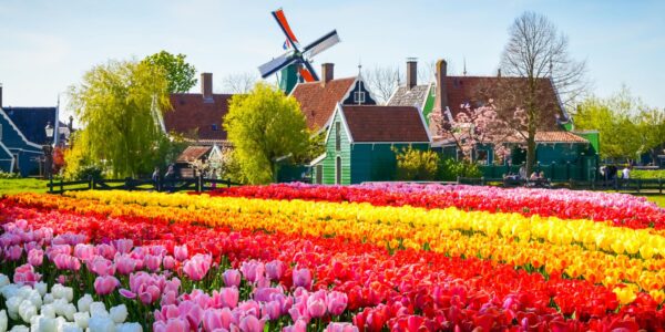 OLANDA E BELGIO, ROMANIA, FIORDI, ISLANDA, POLONIA